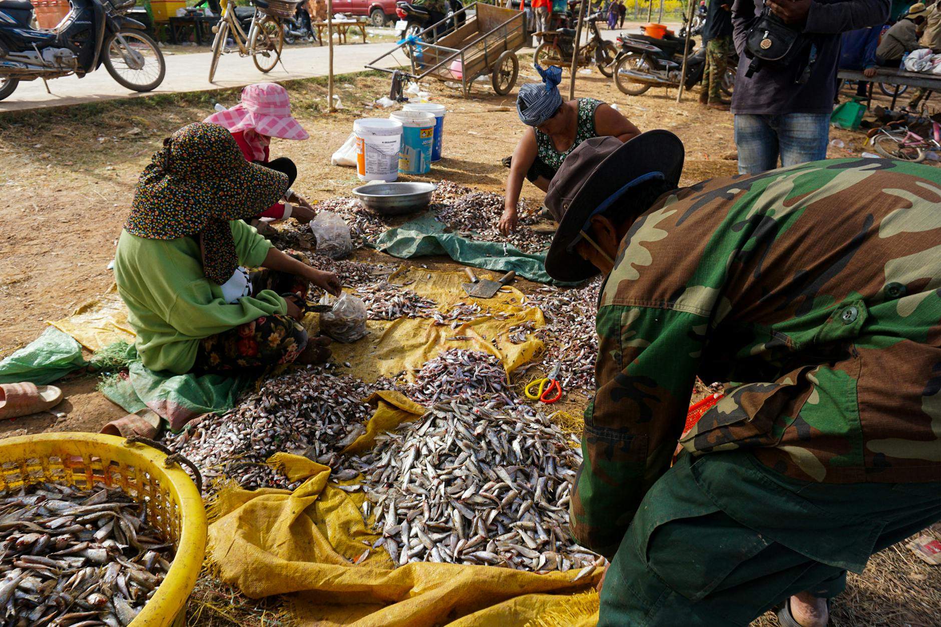 Marché russe Cambodge : découvrez des trésors cachés